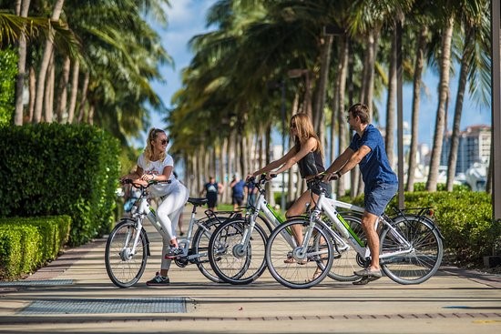 Bike Around Miami Beach via Trip Advisor