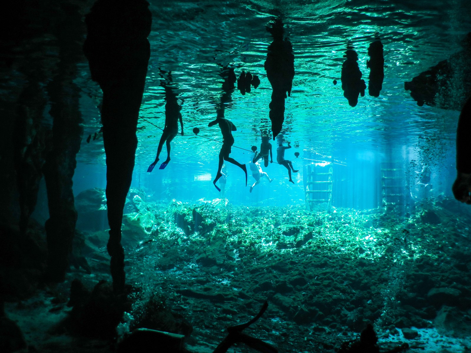 Gran Cenote - Tulum, Mexico