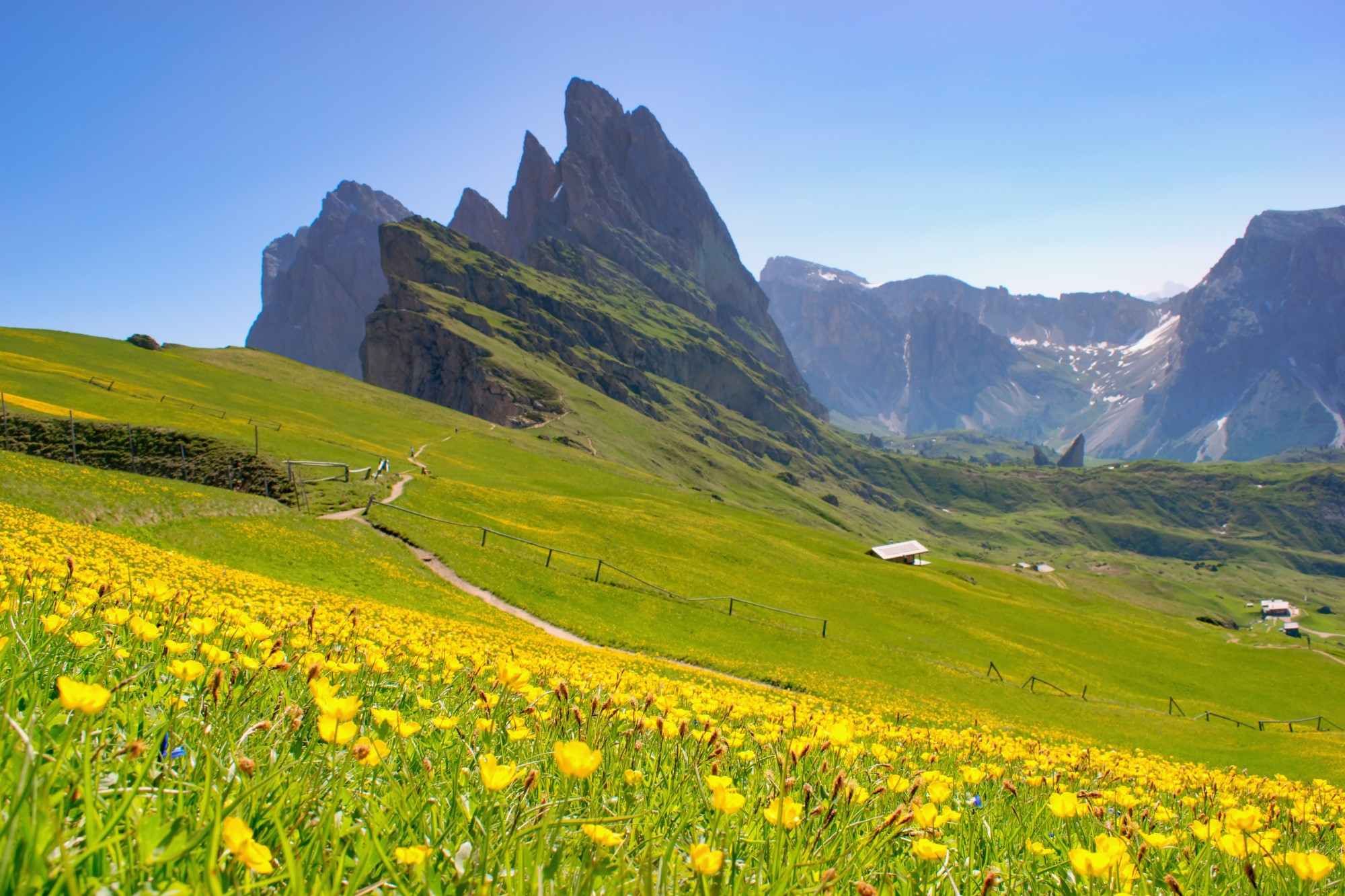 Seceda, Dolomites, Italy