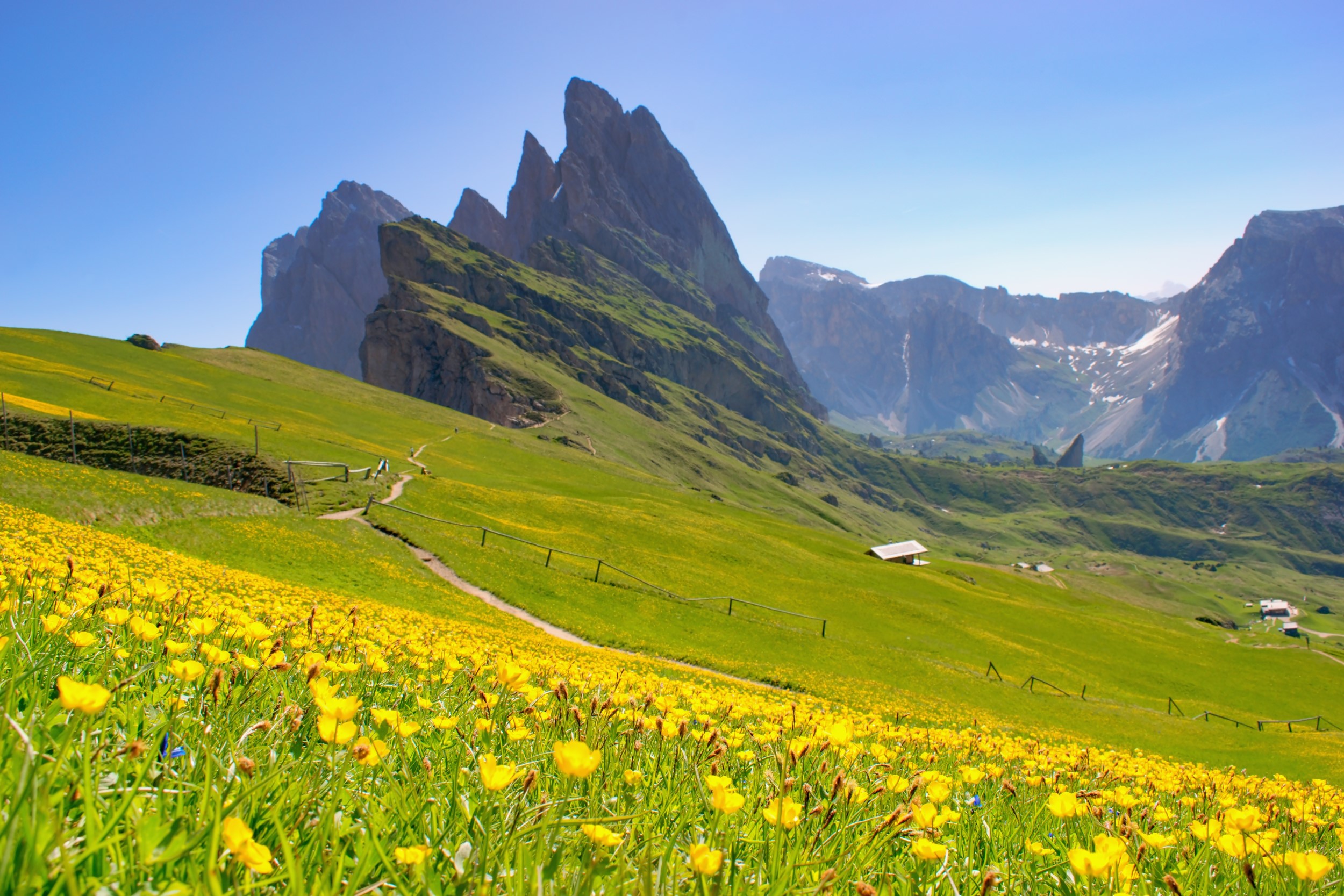 THE DOLOMITES